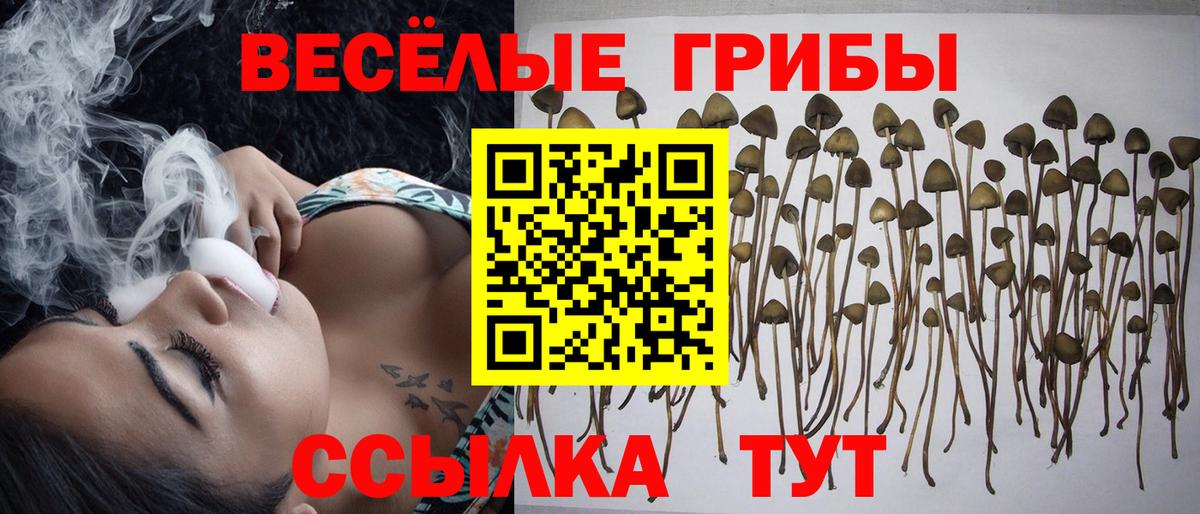 Галлюциногенные грибы мухоморы  Галлюциногенные грибы MAGIC MUSHROOMS  Вход с VPN  Великий Устюг 
